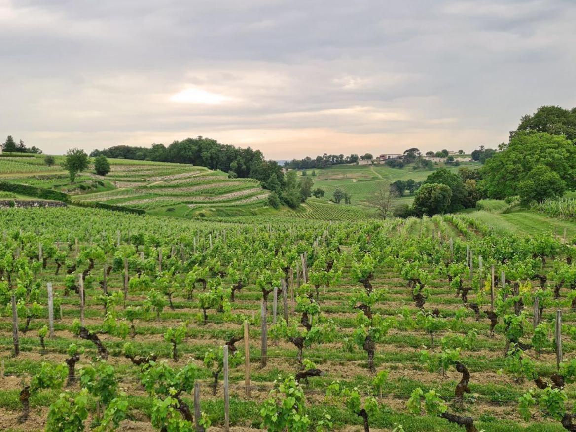 Maison Cosy Avec Vue Sur Les Vignes. Libourne Eksteriør bilde