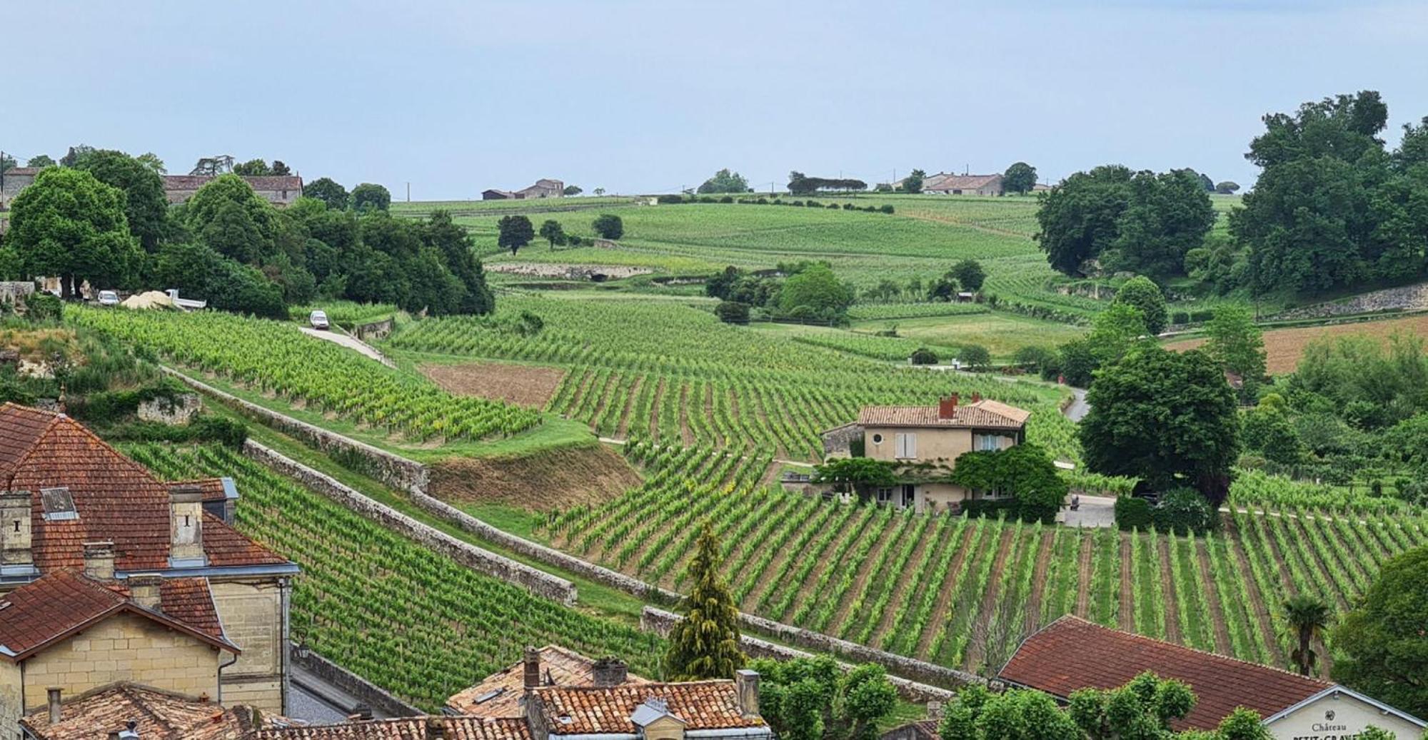 Maison Cosy Avec Vue Sur Les Vignes. Libourne Eksteriør bilde